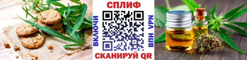 где продают наркотики  Кирсанов  Еда ТГК конопля 