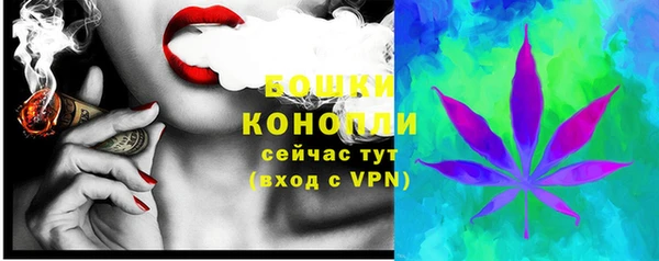 прущие грибы Богородск