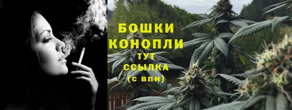 прущие грибы Богородск