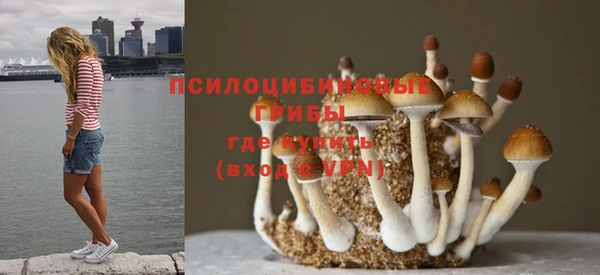 ПСИЛОЦИБИНОВЫЕ ГРИБЫ Пролетарск