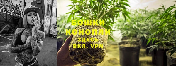 прущие грибы Богородск