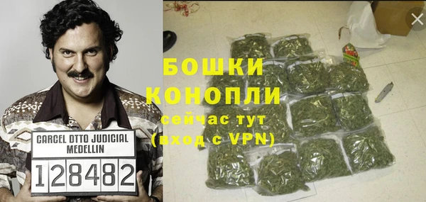 прущие грибы Богородск