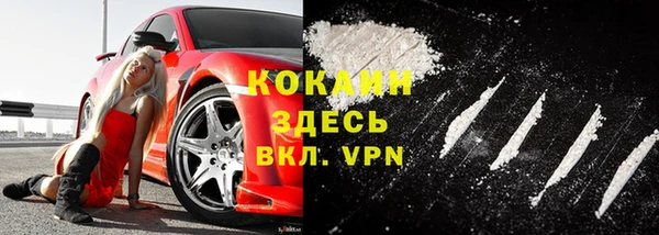 дмт Богородицк