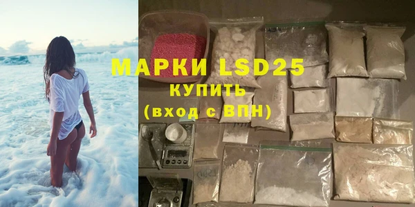 прущие грибы Богородск